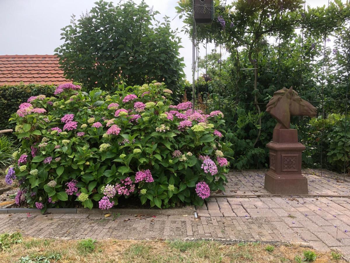 Appartamento Laaker Nearby Outlet Roermond