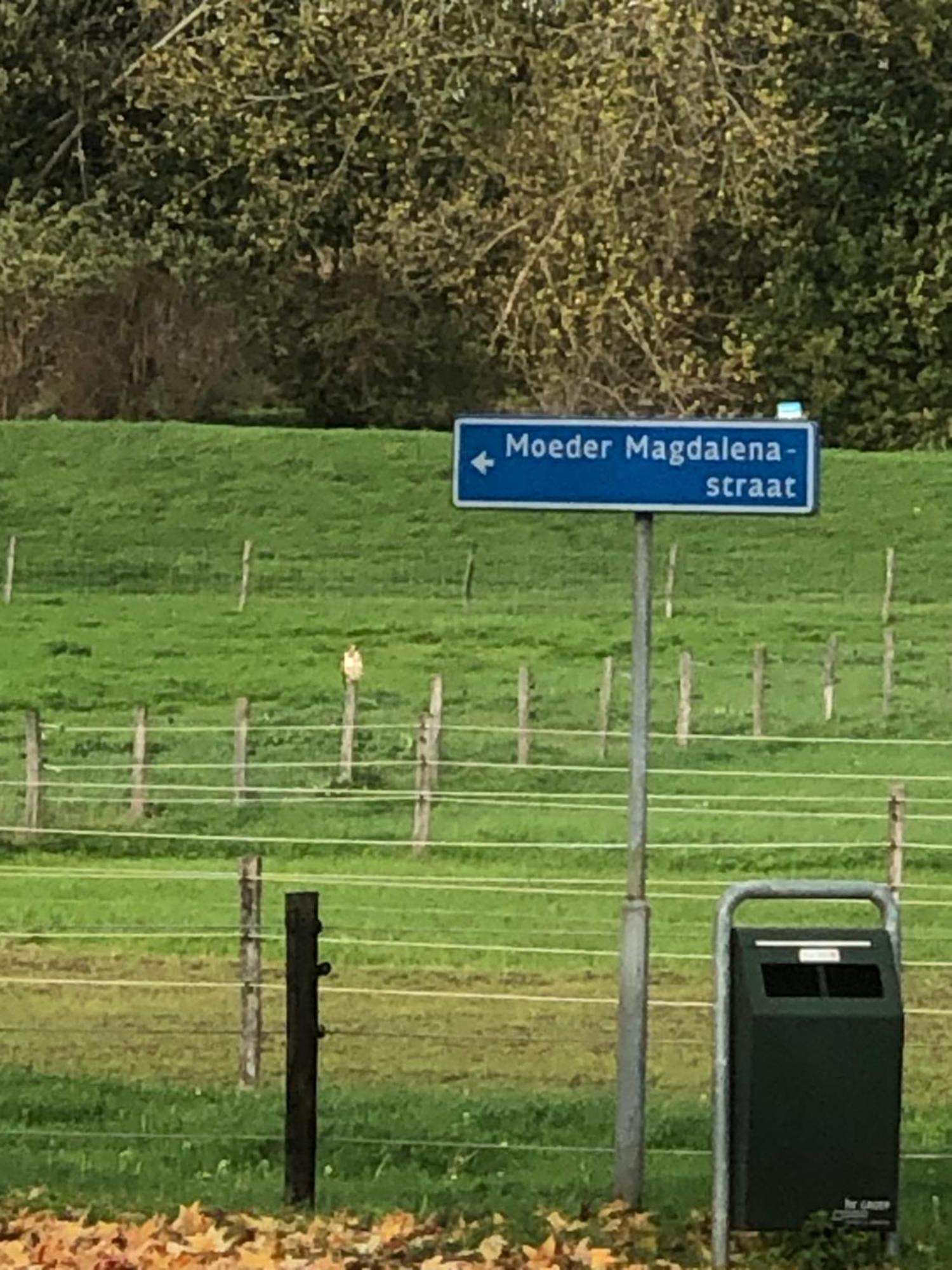 Laaker Nearby Outlet Roermond